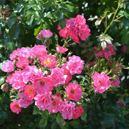 Hotell Formules Club